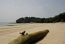 Strand Isla de las Perlas - Panama - Fundstelle-Arche